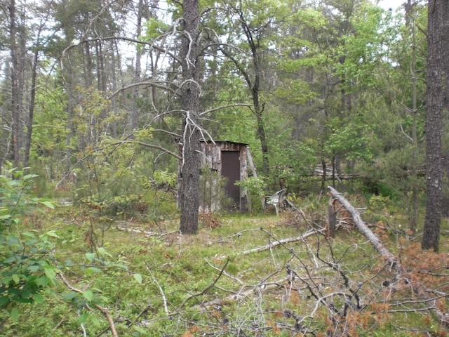 3123 Lovells Rd, Grayling, MI 49738 - view of yard with a wooded view
