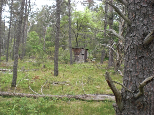 3123 Lovells Rd, Grayling, MI 49738 - view of yard featuring a view of trees and an outdoor structure