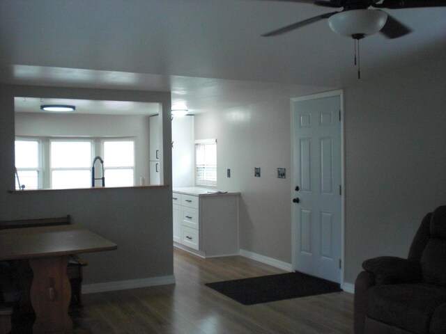 3123 Lovells Rd, Grayling, MI 49738 - foyer entrance featuring ceiling fan, wood finished floors, and baseboards