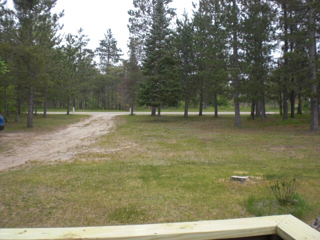 3123 Lovells Rd, Grayling, MI 49738 - view of yard featuring driveway