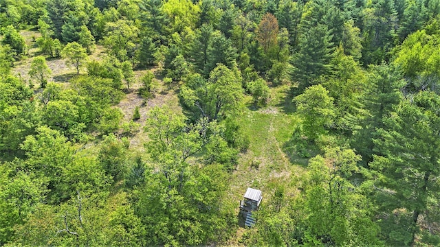 4844 Doerr Rd, Mancelona, MI 49659 - aerial view of property's location