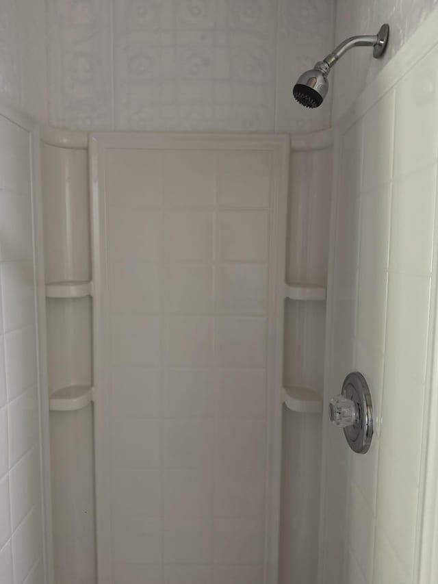 7386 Cheboygan St, Alanson, MI 49706 - bathroom view of tiled shower