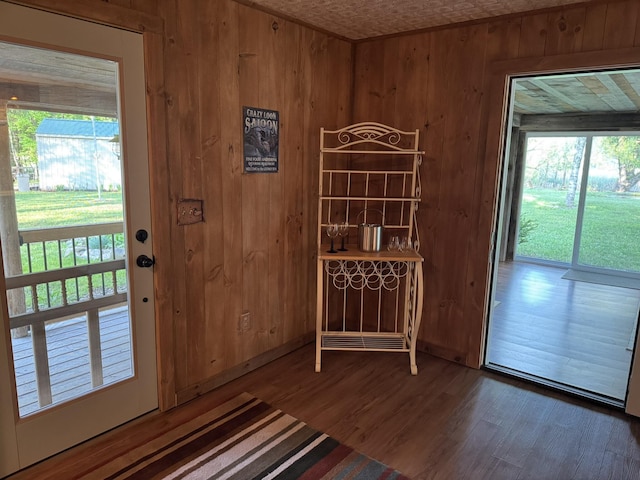 7386 Cheboygan St, Alanson, MI 49706 - entryway featuring wood walls and wood finished floors