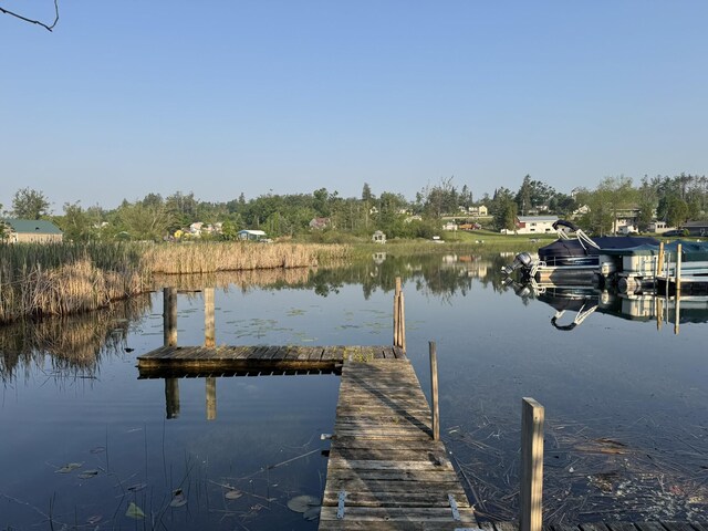 7386 Cheboygan St, Alanson, MI 49706 - dock area with a water view