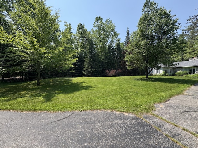 20730 E Riverside Dr, Hillman, MI 49746 - view of green lawn