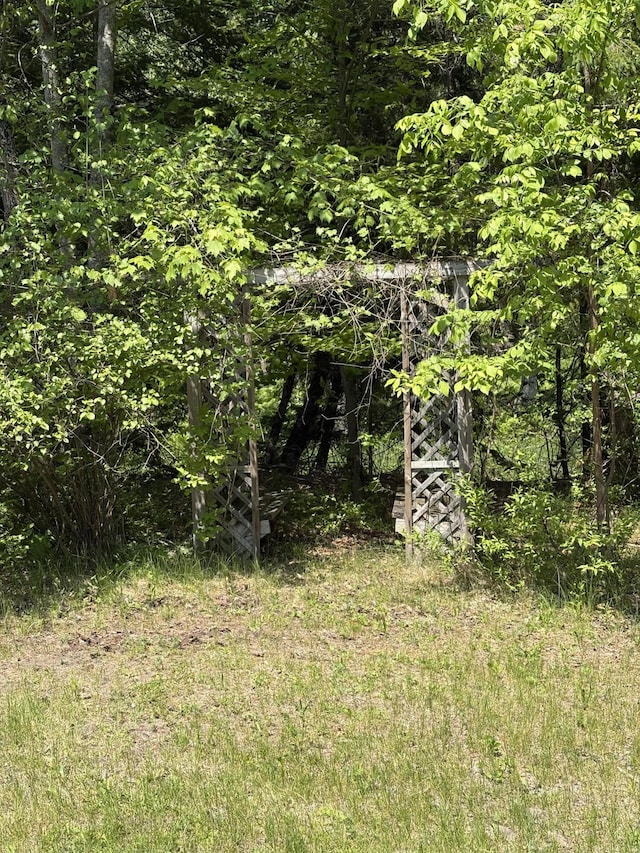 20730 E Riverside Dr, Hillman, MI 49746 - view of wooded area