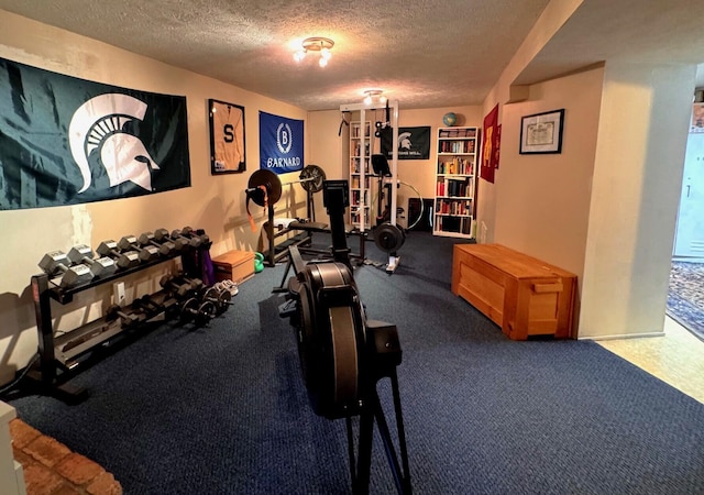 6309 Hiawatha Dr, Frederic, MI 49733 - exercise area with a textured ceiling
