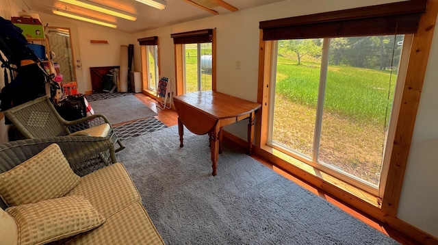 6309 Hiawatha Dr, Frederic, MI 49733 - view of sunroom / solarium