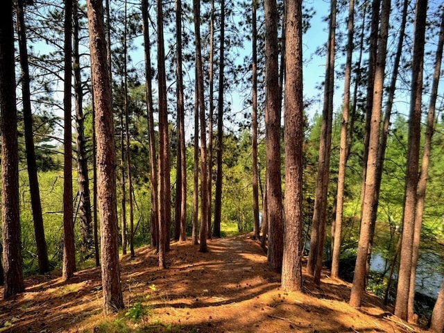 6309 Hiawatha Dr, Frederic, MI 49733 - view of undeveloped land