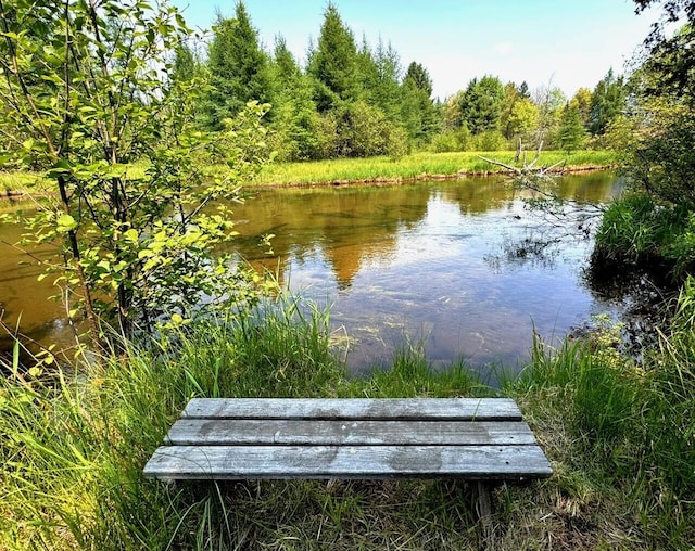 6309 Hiawatha Dr, Frederic, MI 49733 - water view