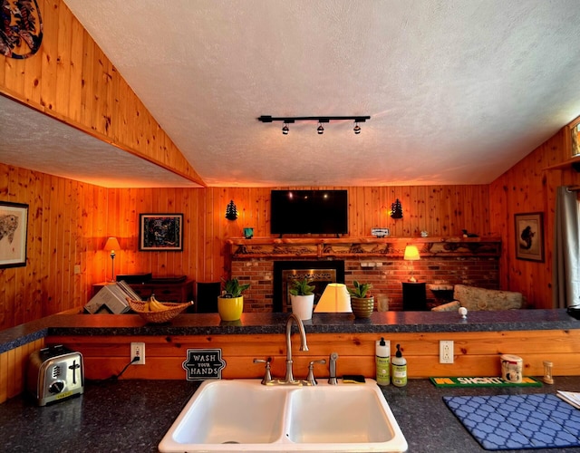 6309 Hiawatha Dr, Frederic, MI 49733 - kitchen featuring a sink, a textured ceiling, wood walls, a brick fireplace, and rail lighting