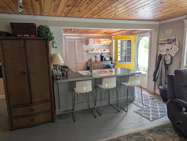 17740 Grand Lake Blvd, Presque Isle, MI 49777 - bar featuring wooden ceiling, crown molding, a sink, and light carpet