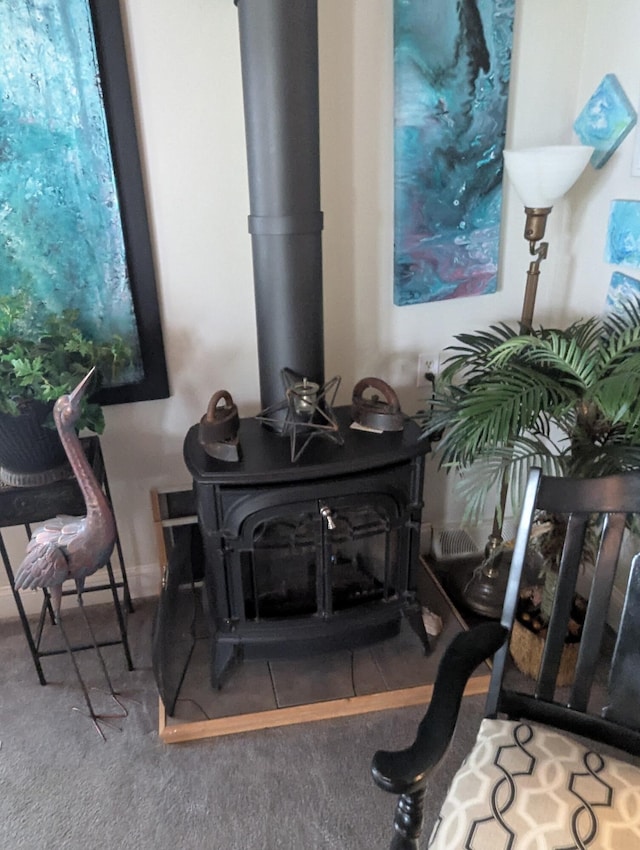 17740 Grand Lake Blvd, Presque Isle, MI 49777 - detailed view of a wood stove and carpet flooring