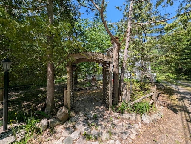 17740 Grand Lake Blvd, Presque Isle, MI 49777 - view of local wilderness