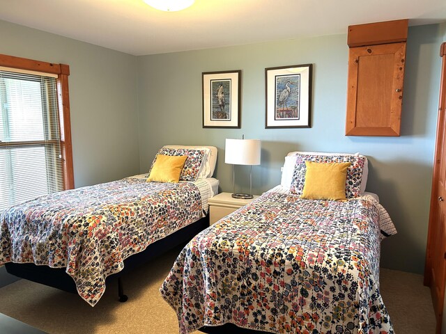 5392 Silver Beach Rd, Onaway, MI 49765 - bedroom featuring carpet