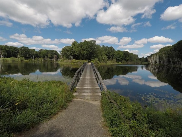 6545 Wolverine Trl, Gaylord, MI 49735