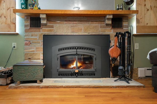 9150 W M-68, Indian River, MI 49749 - detailed view of a glass covered fireplace, a baseboard radiator, and wood finished floors
