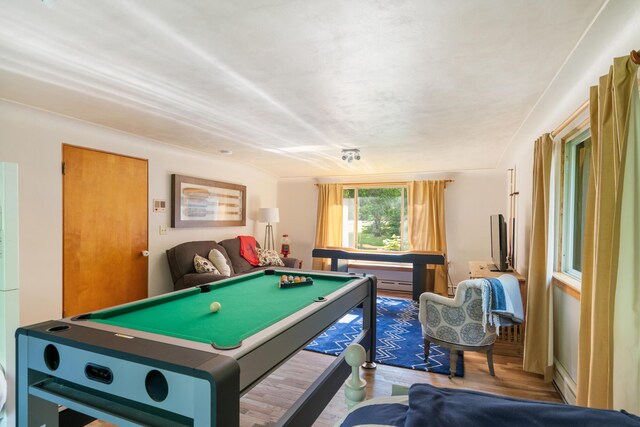 9150 W M-68, Indian River, MI 49749 - rec room featuring billiards table, wood finished floors, and a baseboard heating unit