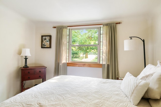 9150 W M-68, Indian River, MI 49749 - view of bedroom