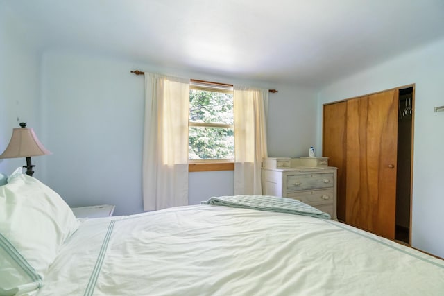 9150 W M-68, Indian River, MI 49749 - bedroom with a closet