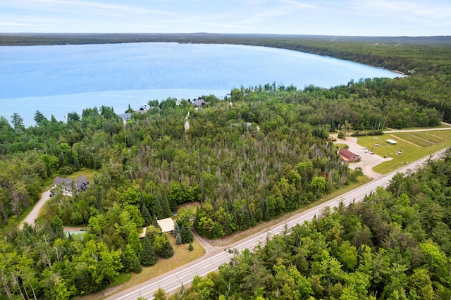 9150 W M-68, Indian River, MI 49749 - aerial view of a heavily wooded area and a nearby body of water