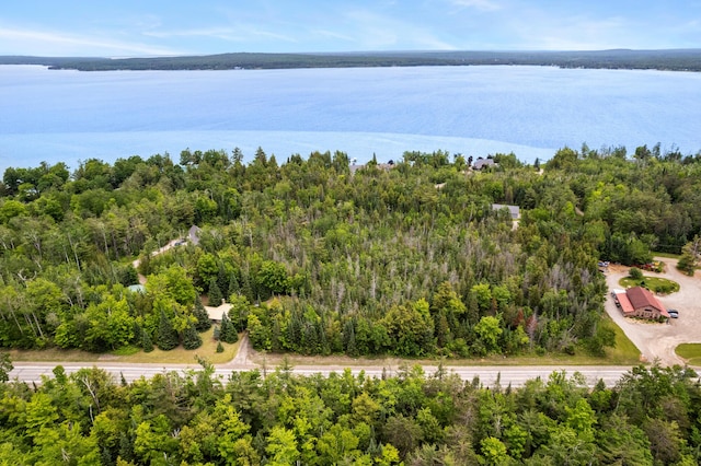 9150 W M-68, Indian River, MI 49749 - drone / aerial view of a large body of water