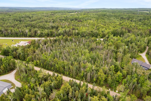 9150 W M-68, Indian River, MI 49749 - drone / aerial view of a forest