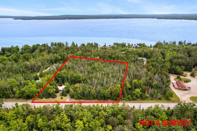 9150 W M-68, Indian River, MI 49749 - aerial overview of property's location featuring a large body of water and property parcel outlined