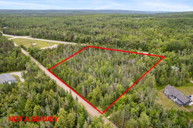 9150 W M-68, Indian River, MI 49749 - view of property location with a heavily wooded area and property parcel outlined