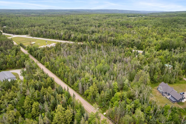 9150 W M-68, Indian River, MI 49749 - drone / aerial view of a forest