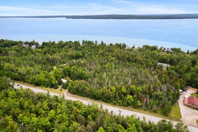9150 W M-68, Indian River, MI 49749 - bird's eye view of a large body of water and a forest