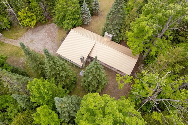 9150 W M-68, Indian River, MI 49749 - view from above of property