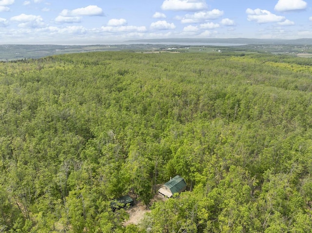 3221 Krause Rd, Petoskey, MI 49770 - drone / aerial view of a forest