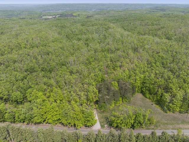 3221 Krause Rd, Petoskey, MI 49770 - aerial view of property and surrounding area featuring a heavily wooded area