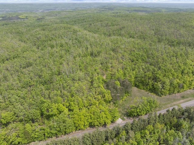 3221 Krause Rd, Petoskey, MI 49770 - aerial overview of property's location with a forest