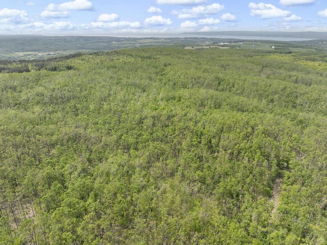 3221 Krause Rd, Petoskey, MI 49770 - drone / aerial view of a forest