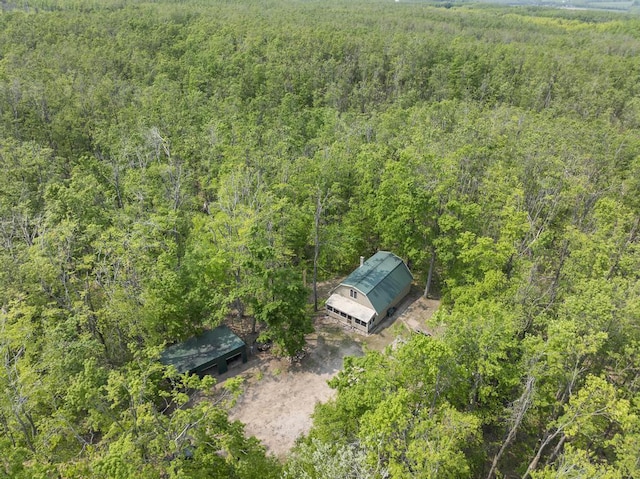 3221 Krause Rd, Petoskey, MI 49770 - aerial view of property and surrounding area featuring a forest