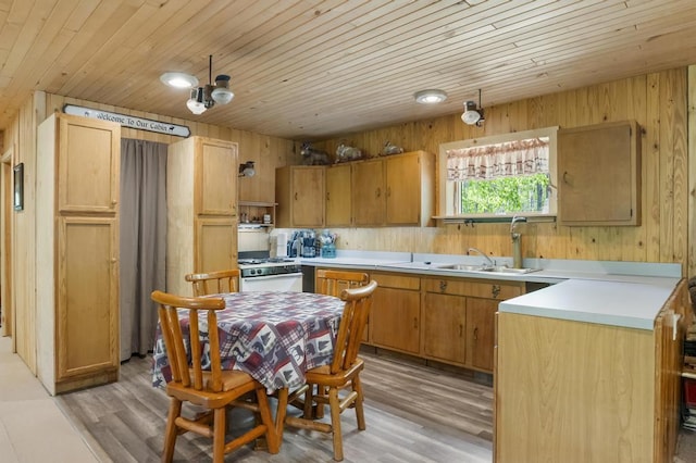 3221 Krause Rd, Petoskey, MI 49770 - kitchen with white range with gas stovetop, wooden ceiling, light wood finished floors, light countertops, and a sink