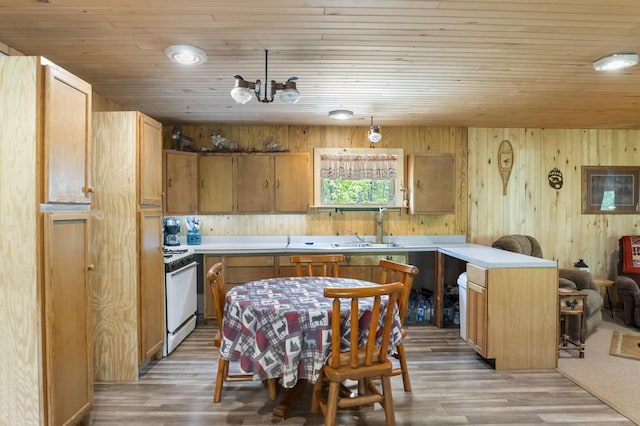 3221 Krause Rd, Petoskey, MI 49770 - kitchen featuring white stove, light wood-style flooring, wood ceiling, a peninsula, and a sink