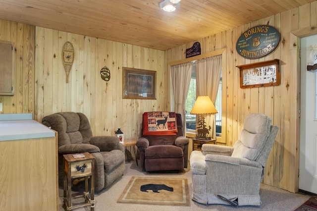 3221 Krause Rd, Petoskey, MI 49770 - living area with wooden walls and wood ceiling