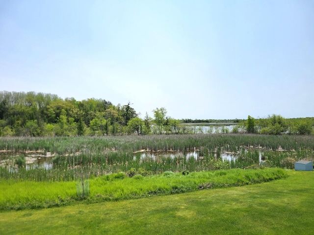 166 Long Rapids Rd, Alpena, MI 49707 - view of yard featuring a water view