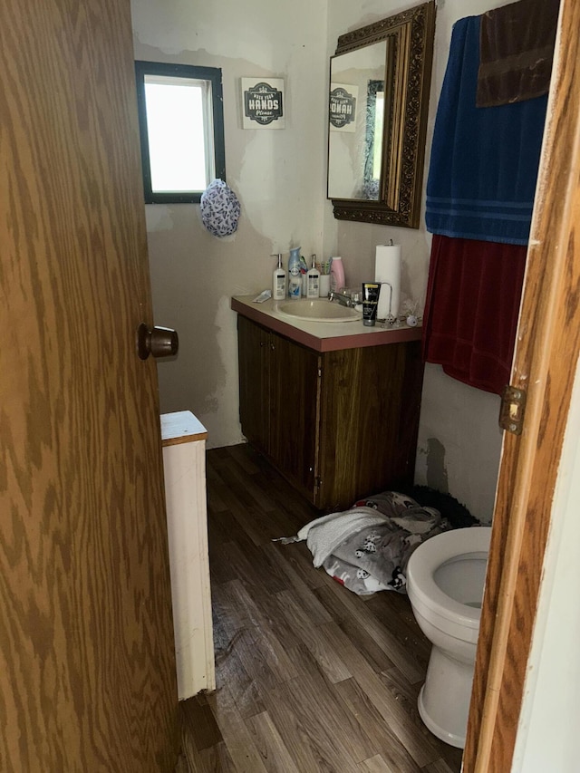 1864 Lenroy Valley Rd, Luzerne, MI 48636 - half bath featuring vanity, wood finished floors, and toilet