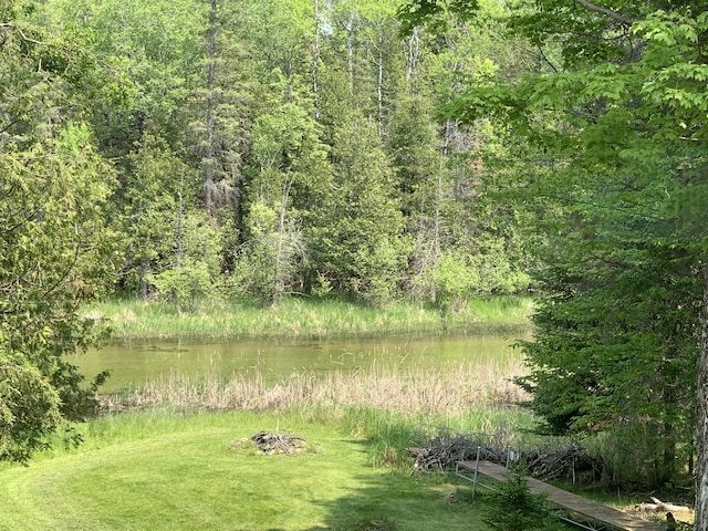 14501 3rd St, Hubbard Lake, MI 49747 - view of yard with a forest view and a water view