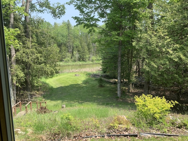 14501 3rd St, Hubbard Lake, MI 49747 - view of yard with a water view
