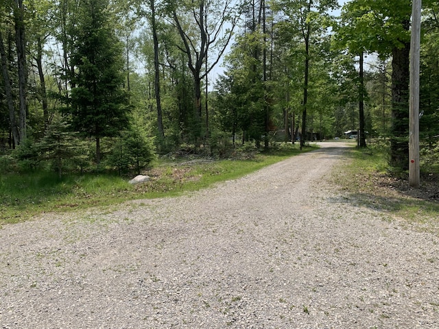 14501 3rd St, Hubbard Lake, MI 49747 - view of dirt / gravel road