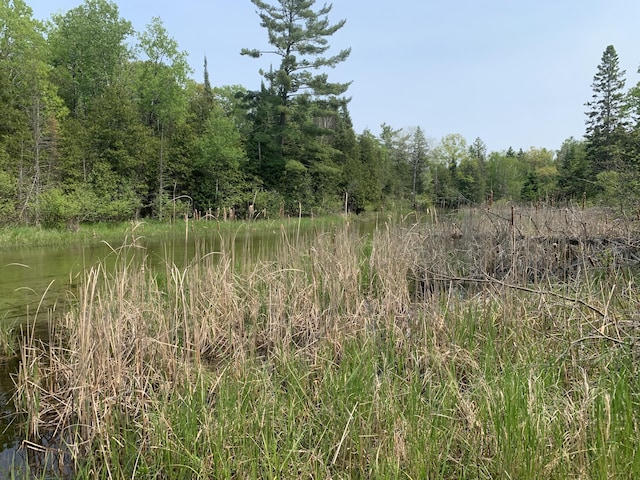 14501 3rd St, Hubbard Lake, MI 49747 - view of woods