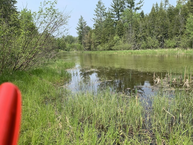 14501 3rd St, Hubbard Lake, MI 49747 - water view with a forest