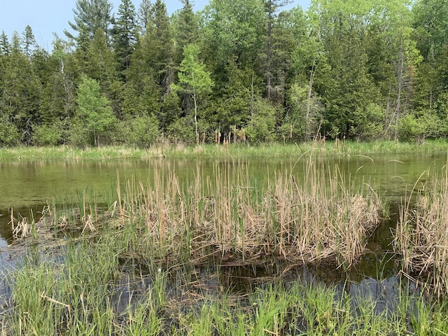 14501 3rd St, Hubbard Lake, MI 49747 - view of woods