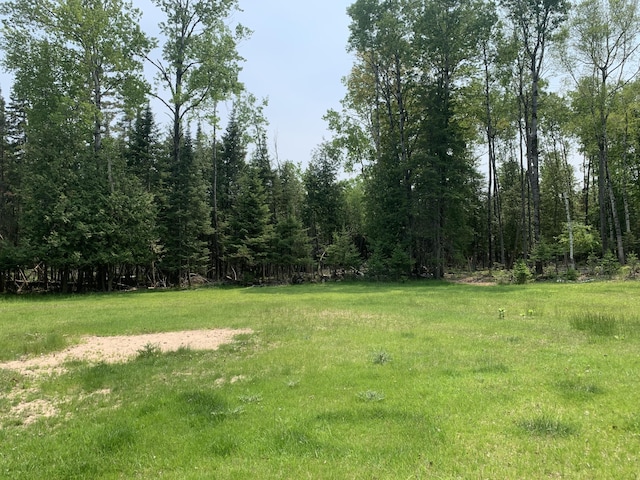 14501 3rd St, Hubbard Lake, MI 49747 - view of yard