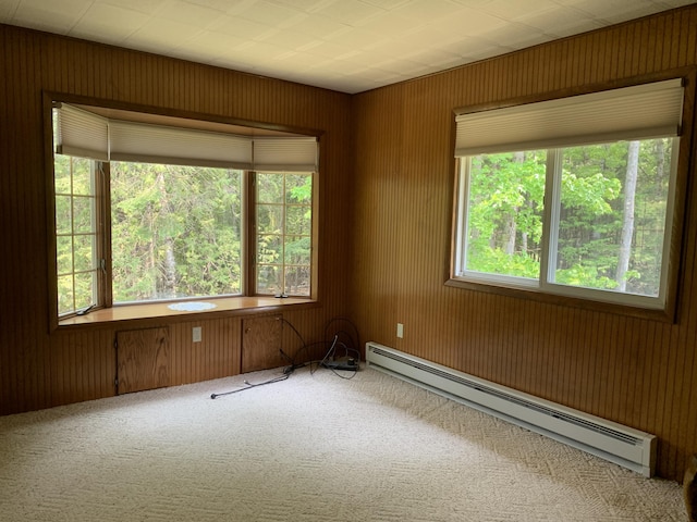 14501 3rd St, Hubbard Lake, MI 49747 - unfurnished room featuring a baseboard heating unit, carpet floors, and wood walls